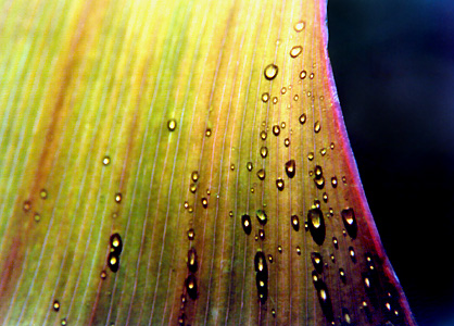 Respiro - Dal repertorio fotografico di Ivo Nardi ©