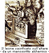 Il leone sacrificato sull'altare - da un manoscritto alchemico
