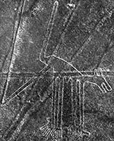 Il Cane di Nazca