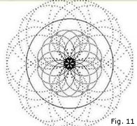 fonti spiraliche