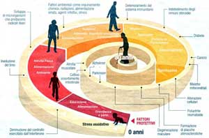 Malattie, Prevenzione e Stile di Vita