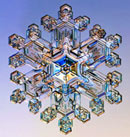 Acqua Masaru Emoto