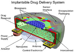 Schema di dispositivo per drug delivery provvisto di nanopori
