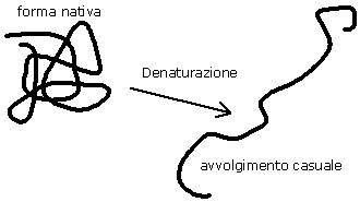 Denaturazione proteina