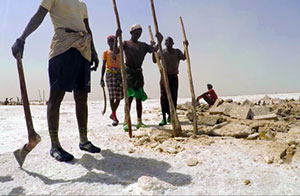 Etiopia: scavatori di sale (Foto Riccardo Magnani)